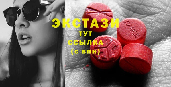 ECSTASY Богданович